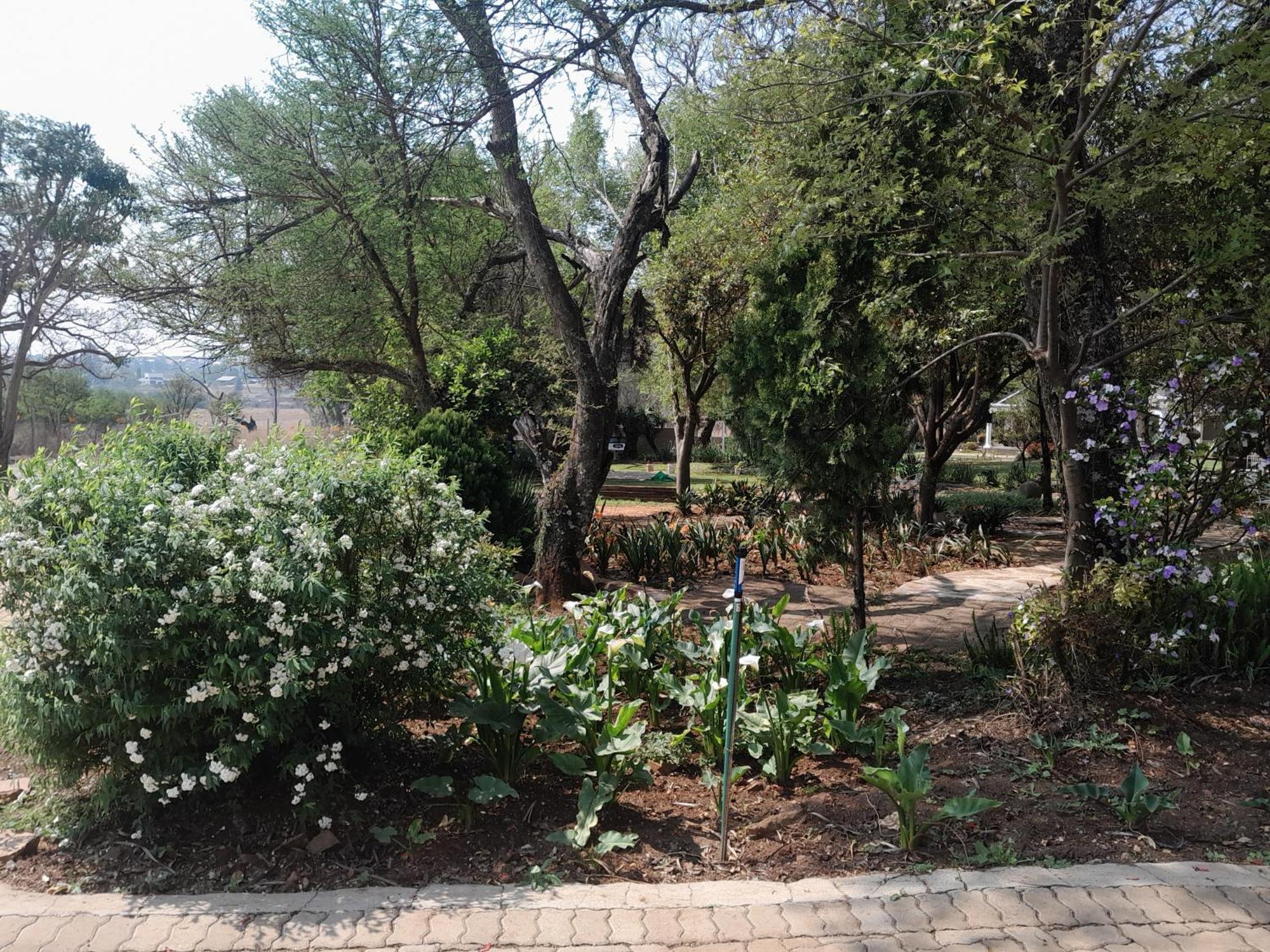 Longtom Farm Guesthouse Lydenburg Exterior photo